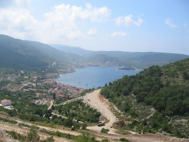 Photograph